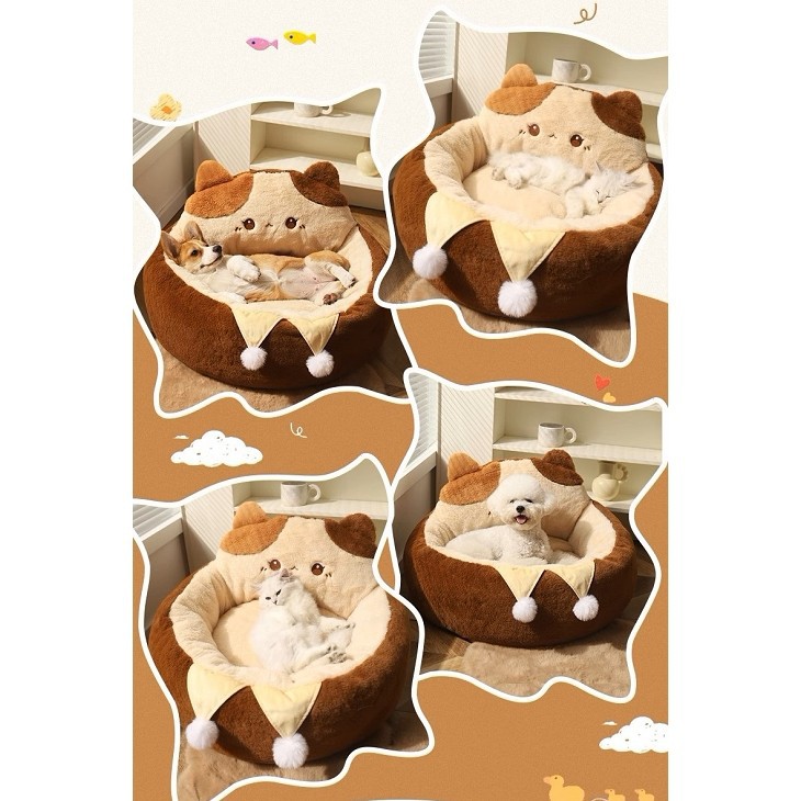 O1CN01izl2el1q0p9KTOOfC_!!2019505434(001)